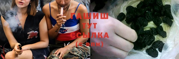 индика Медвежьегорск